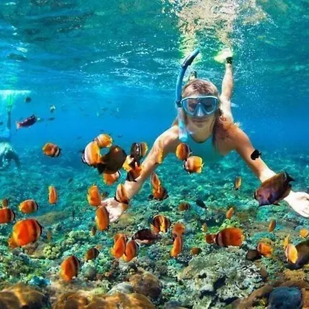 Lembongan snorkling