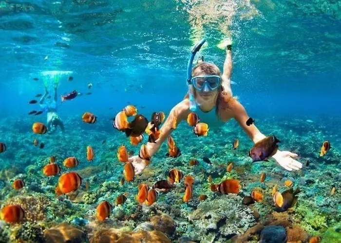 Lembongan Snorkling ホリデーパーク *