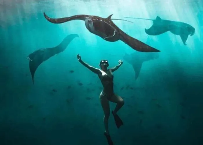 ホリデーパーク Lembongan Snorkling