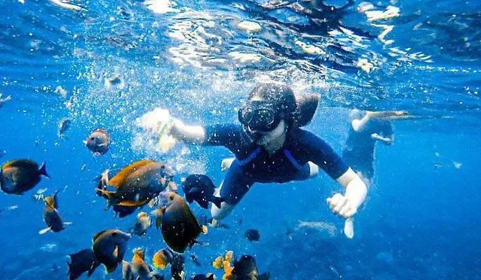Lembongan Snorkling ホリデーパーク Klungkung